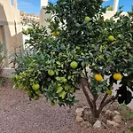 Loelka San Miguel De Salinas
