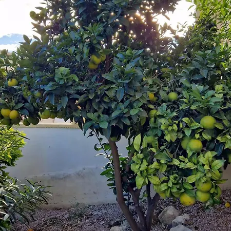 Lölka * San Miguel De Salinas